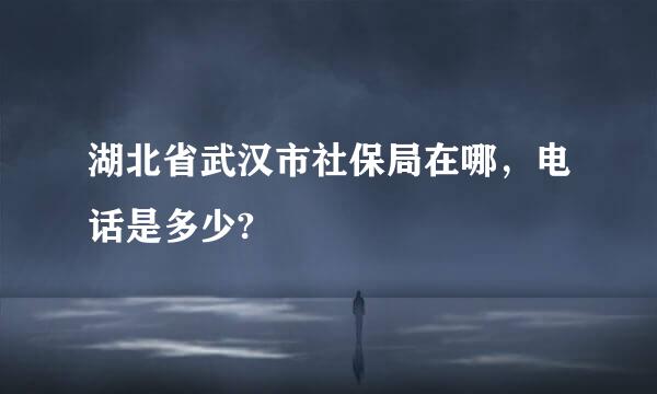 湖北省武汉市社保局在哪，电话是多少?