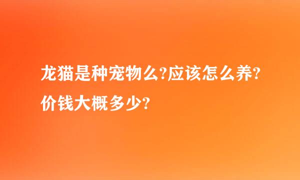 龙猫是种宠物么?应该怎么养?价钱大概多少?