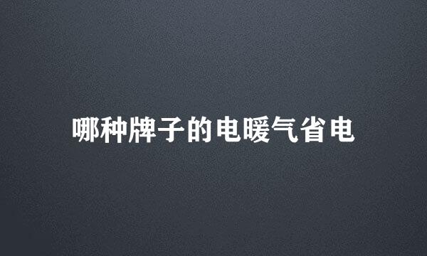 哪种牌子的电暖气省电