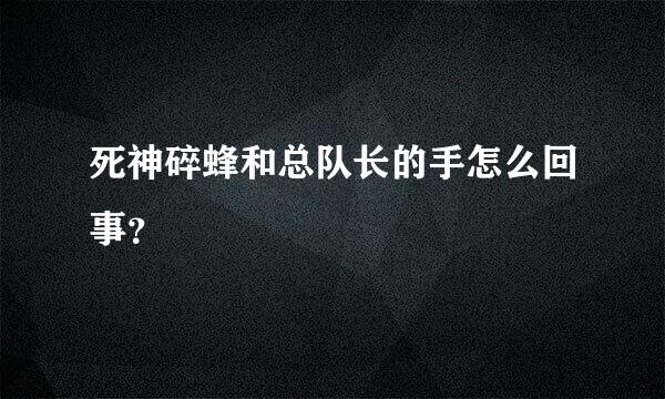 死神碎蜂和总队长的手怎么回事？