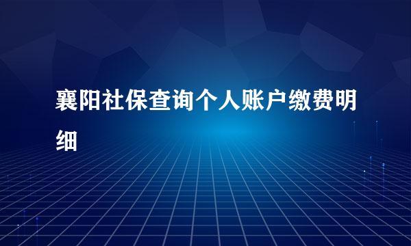 襄阳社保查询个人账户缴费明细