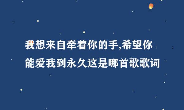 我想来自牵着你的手,希望你能爱我到永久这是哪首歌歌词