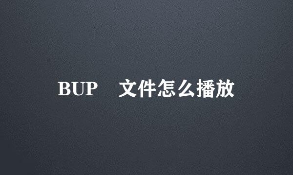 BUP 文件怎么播放