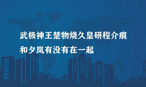 武极神王楚物烧久皇研程介痕和夕岚有没有在一起