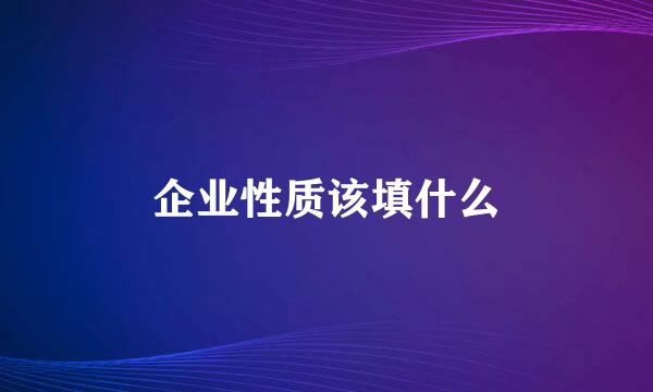 企业性质该填什么