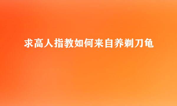 求高人指教如何来自养剃刀龟