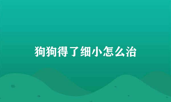 狗狗得了细小怎么治