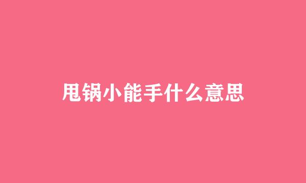 甩锅小能手什么意思