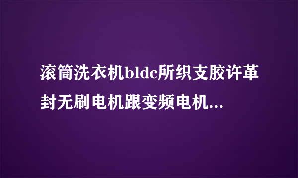 滚筒洗衣机bldc所织支胶许革封无刷电机跟变频电机哪个更好