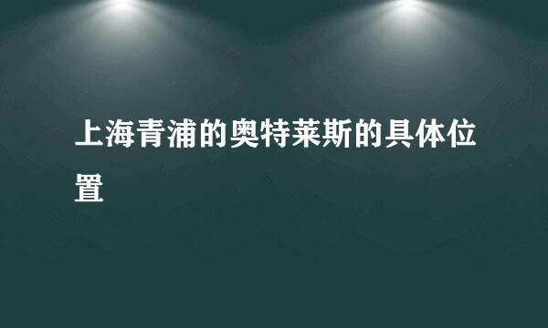 上海青浦的奥特莱斯的具体位置