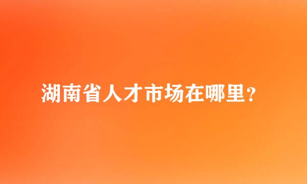 湖南省人才市场在哪里？