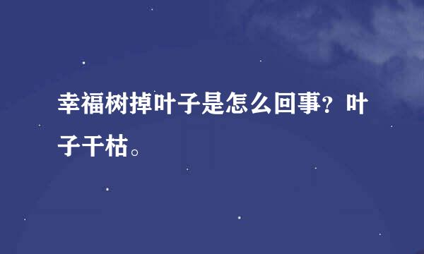 幸福树掉叶子是怎么回事？叶子干枯。