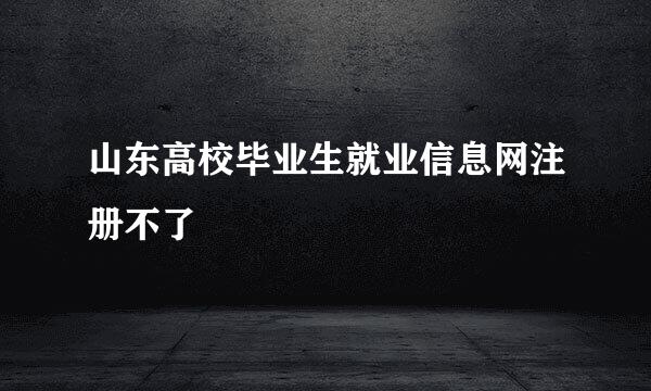 山东高校毕业生就业信息网注册不了