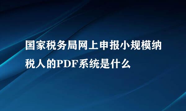 国家税务局网上申报小规模纳税人的PDF系统是什么