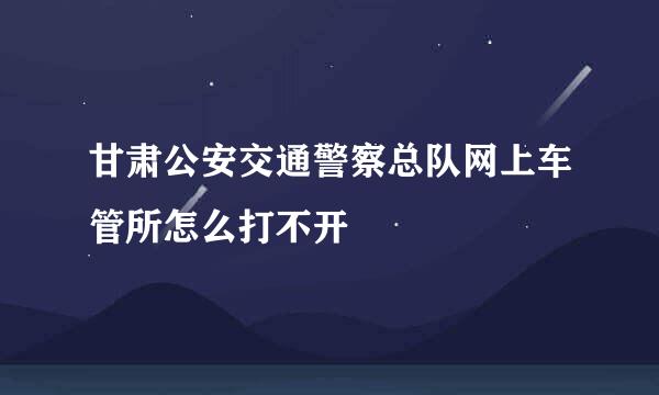 甘肃公安交通警察总队网上车管所怎么打不开