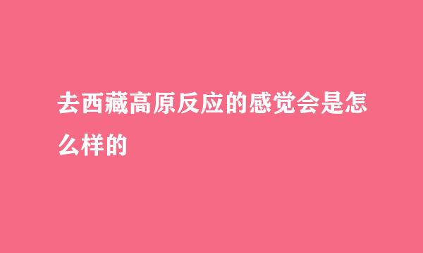 去西藏高原反应的感觉会是怎么样的