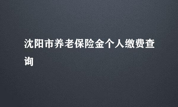 沈阳市养老保险金个人缴费查询