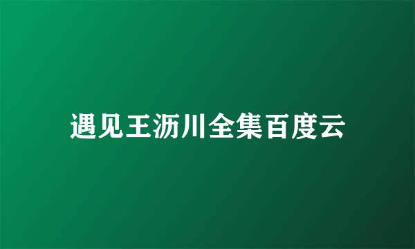 遇见王沥川全集百度云