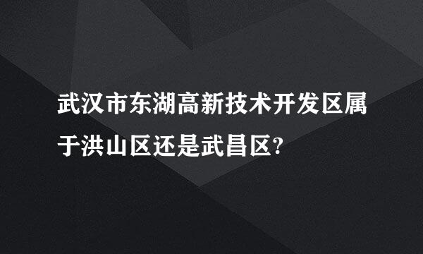 武汉市东湖高新技术开发区属于洪山区还是武昌区?