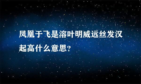 凤凰于飞是溶叶明威远丝发汉起高什么意思？