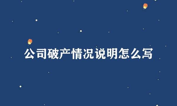 公司破产情况说明怎么写