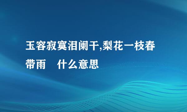 玉容寂寞泪阑干,梨花一枝春带雨 什么意思