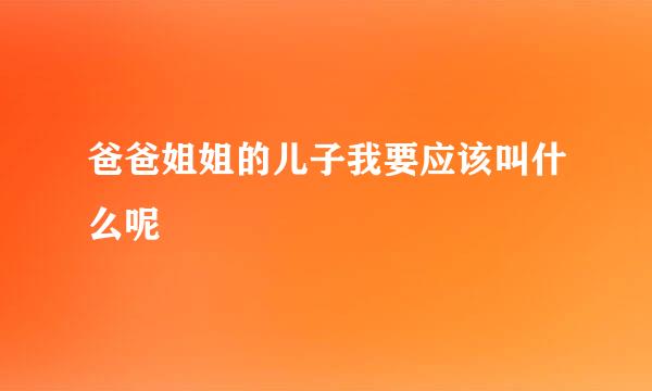 爸爸姐姐的儿子我要应该叫什么呢