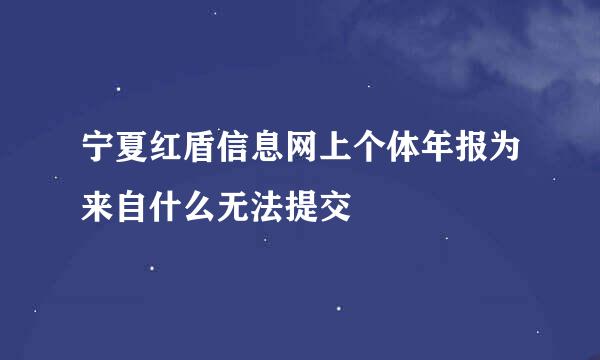 宁夏红盾信息网上个体年报为来自什么无法提交