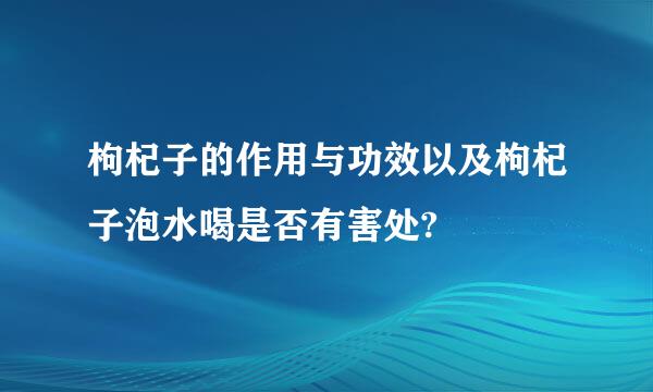 枸杞子的作用与功效以及枸杞子泡水喝是否有害处?