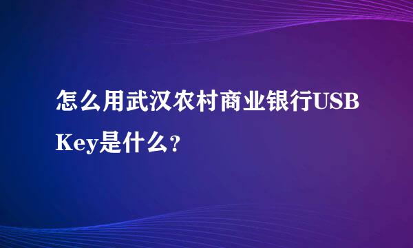 怎么用武汉农村商业银行USBKey是什么？