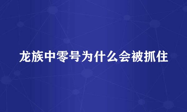 龙族中零号为什么会被抓住