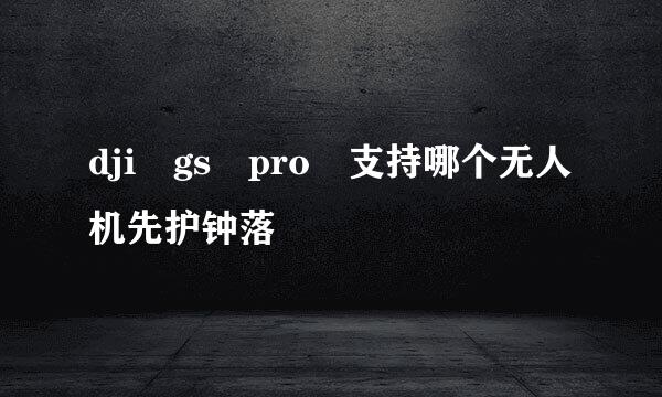 dji gs pro 支持哪个无人机先护钟落