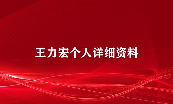 王力宏个人详细资料