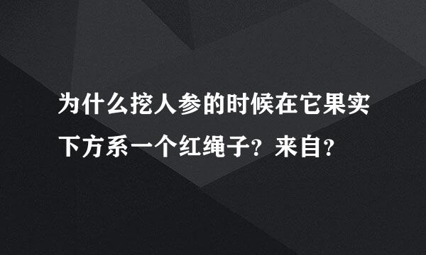 为什么挖人参的时候在它果实下方系一个红绳子？来自？