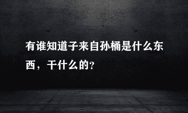 有谁知道子来自孙桶是什么东西，干什么的？