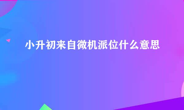 小升初来自微机派位什么意思