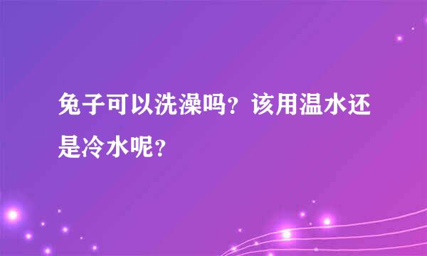 兔子可以洗澡吗？该用温水还是冷水呢？