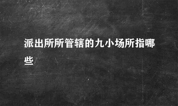 派出所所管辖的九小场所指哪些