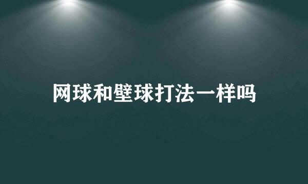 网球和壁球打法一样吗