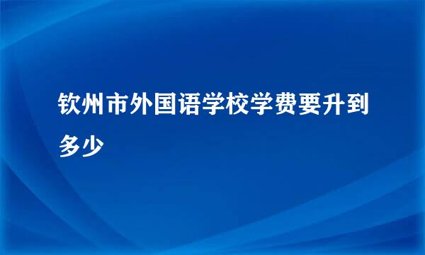 钦州市外国语学校学费要升到多少