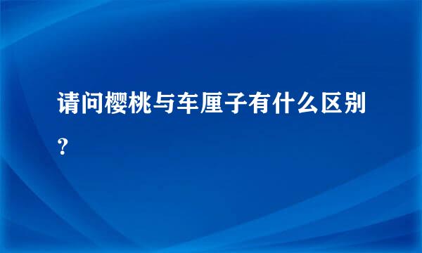 请问樱桃与车厘子有什么区别？