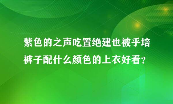 紫色的之声吃置绝建也被乎培裤子配什么颜色的上衣好看？