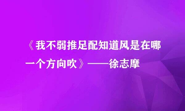 《我不弱推足配知道风是在哪一个方向吹》——徐志摩