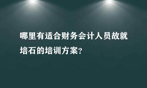 哪里有适合财务会计人员故就培石的培训方案？