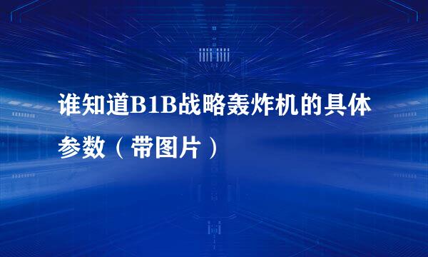 谁知道B1B战略轰炸机的具体参数（带图片）