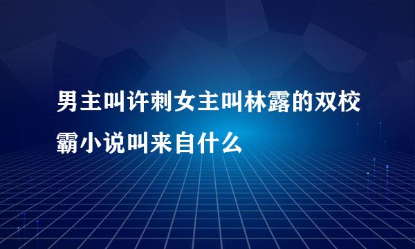 男主叫许刺女主叫林露的双校霸小说叫来自什么