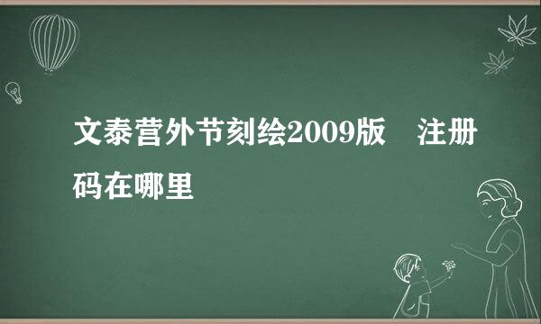 文泰营外节刻绘2009版 注册码在哪里