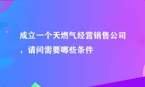 成立一个天燃气经营销售公司，请问需要哪些条件