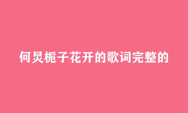 何炅栀子花开的歌词完整的