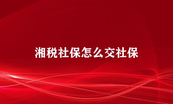 湘税社保怎么交社保